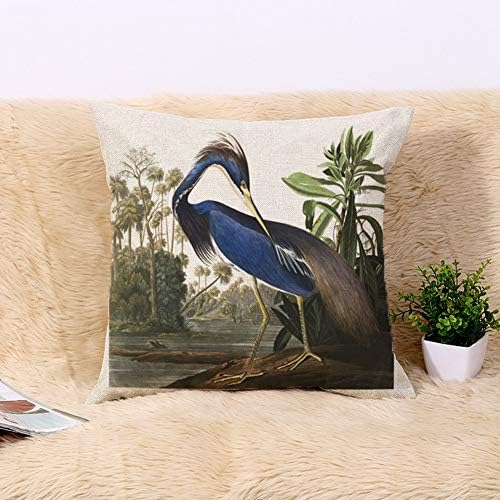 Jastuk za bacanje 18x18 inčni Audubon Blue Louisiana Heron Crtanje ptica priroda Vintage Home Decor Jastučnice