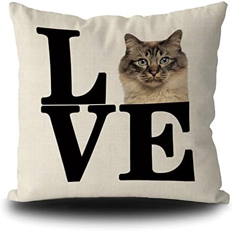 Bageyou Love Decoration bacač jastuk sfinx mačka Valentinovo jastučnica za kauč kauč dnevni boravak posteljina 18x18 inča Dvostruka strana