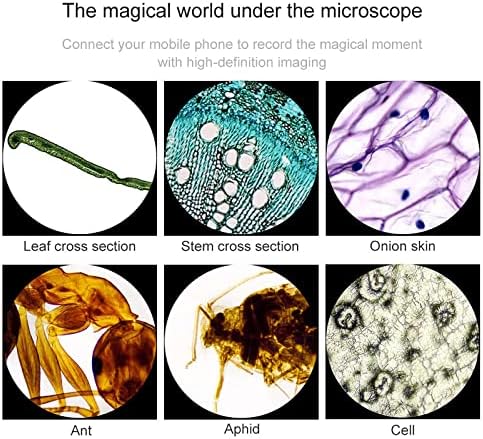 Binokularni mikroskop, djeca Students Odrasli mikroskop, mobilna fotografija i video zapis, sa setom