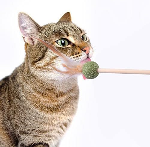 Mačka igračka zadirkivanje mačke mačke kuglične perje Cat Stick Interaktivni drveni štap Mačka Pero