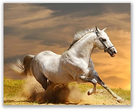 Konj inspirisan ljepota u pustinji: izlog snage i ljepote konja-zid Art dekor Neuramljen postera grafike