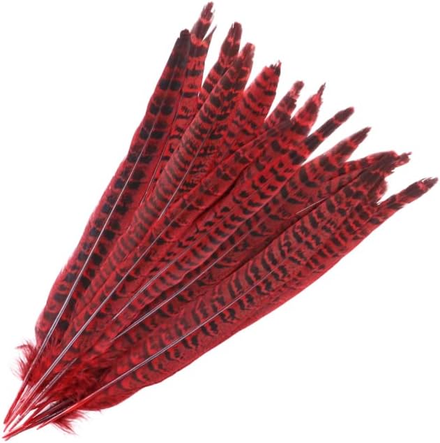 Zamihalaa - 10pcs prirodni ženski fazan perje dekoracija zanati nakit Izrada pribora 25-30cm pileći rep Plumes