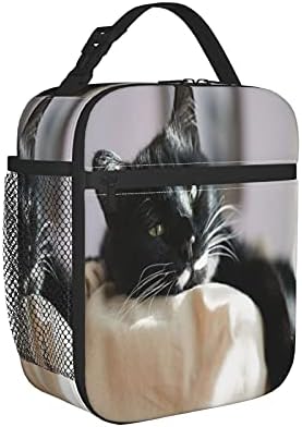 Cat cat's eyes mačji krevet udoban slatki kućni ljubimac mačka izgleda velika meka torba za ručak izolovana torba za ručak kutija kontejner Organizator za muškarce