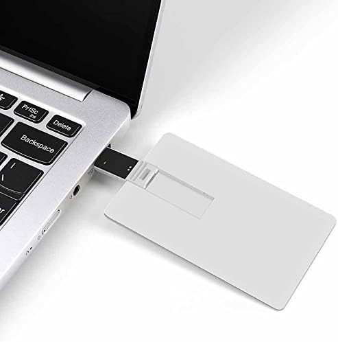 Fleur de Lis Mardi Gras USB Flash Drive Personalizirana kreditna kartica Pogonski memorijski stick USB ključni