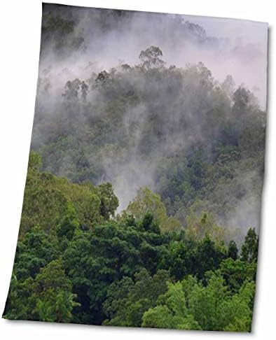3Droza oblaci u tropskim prašumima planine oko Cairns, Australija - Ručnici