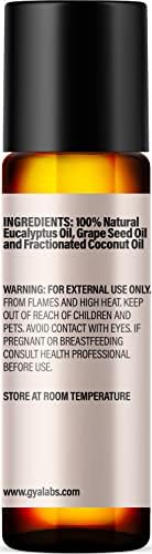 Eaucalyptus Essential Oil za difuzor i eukaliptus Rola na setu - čista terapijska esencijalna ulja Set -