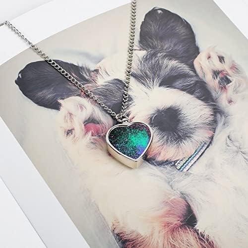 Neonska eksplozija boje prskanja umjetnički pas pepeo urna ogrlica mačka kremiranje nakit spomen