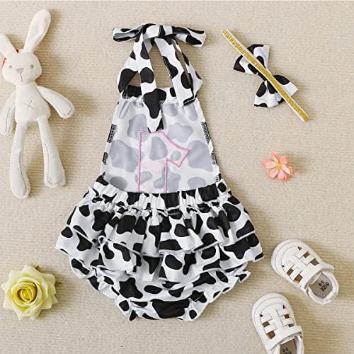 Detigee Baby Girl First Rođendan Outfit Baby 1. rođendan Outfit Djevojka Krav rođendan BodySuit