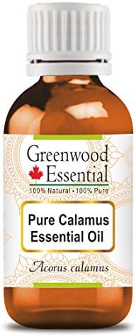 Greenwood Essential Ossetišta CALAMUS Eterion ulje prirodna terapijska klasa Destilirana parom 5ml