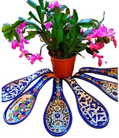 Bluenoemi Armenski Keramika ostatak kašika plavo cvijeće Jerusalem poklon Housewarming pokloni ručni rad u
