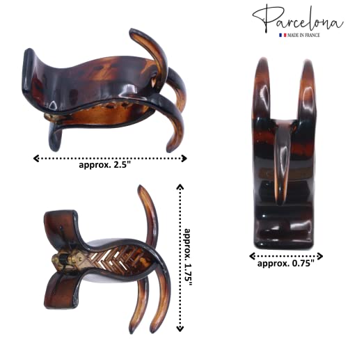 Parcelona francuski 3 zuba Savana I Kornjačev oklop Set od 2 držača za rep u stilu ribe, Stezaljke
