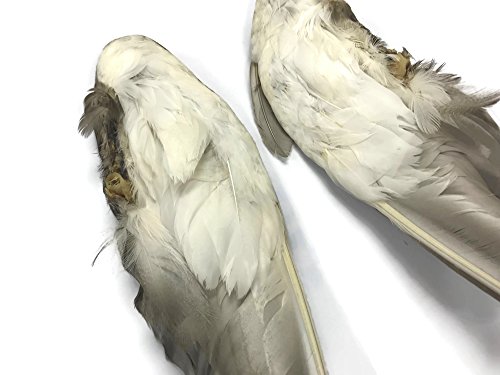 Moonlight Feather | 1 Par-Iridescent Blue Complete Mallard Duck Wing Feather Set