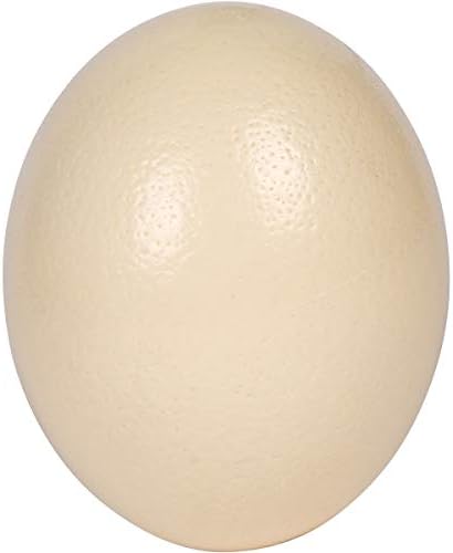 Premium Ostrich Eggshell