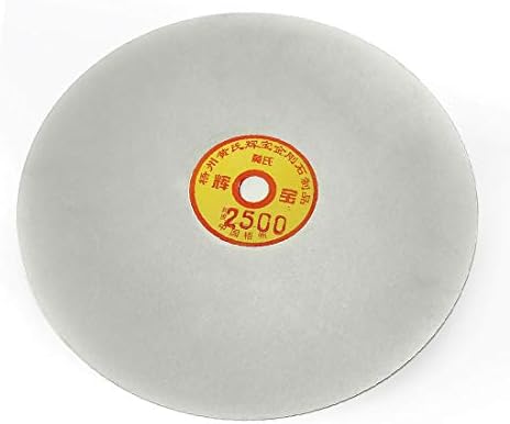 X-DREE 250mm 10-inčni granulacija 2500 dijamantski obloženi ravni disk disk Brusni disk (Disco de lija de 250 mm de 10 pulgadas de grano 2500 recubierto con diamante Disco de vuelta plana Disco de lija