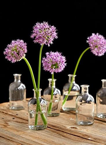 Serene Spaces Living Bud vaze, apotekarske tegle, dekorativne staklene flaše, centralni deo za svadbeni prijem, Mini vaze za cveće, male bočice za lekove za uređenje doma