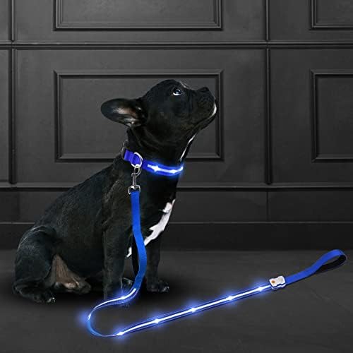 Lavanda Pet 5 ft LED pas povodac-podstavljena dvostruka saobraćajna ručka |10hr trajanje baterije, USB-C brzo