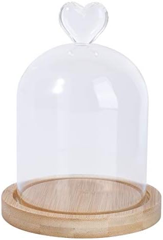 Prettyzoom Retro Decor Clear Glass Dome Cloche sa rustikalnom drvenom bazom Bell teglica sa gornjom ručkom Terrarium