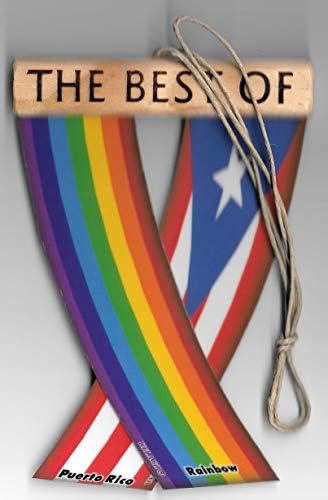 Portoriko i Rainbow Boricua Gay Pride Caribbean LBGT Redview Ogledalo Mini banner Viseće zastave