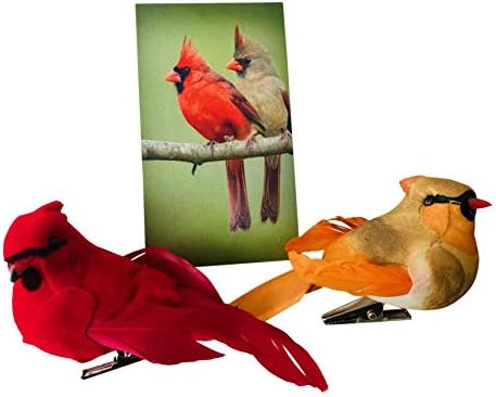Kardinal dekor set s kopčom muški i ženski love ptice kardinali sa kutijom priče