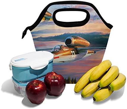 Vipsk torba za ručak za odrasle / muškarce/žene/djecu, Retro drevna uljana boja avionska kutija za ručak, vodootporna torbica za piknik na otvorenom torbica za ručak torbe za ručak sa patentnim zatvaračem, Crna