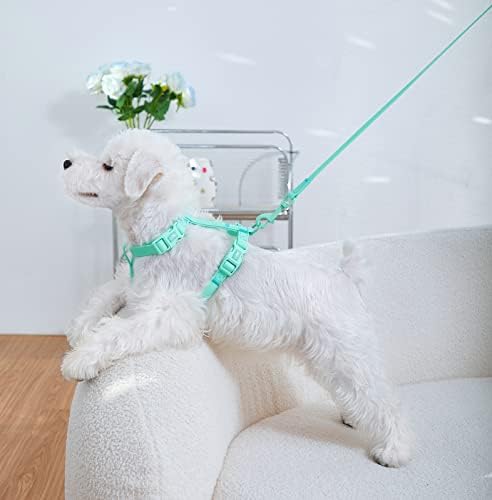 Vodootporni pas za pse, Arkika modni kabelski svežanj svježe boje za planinarenje hodanje za pse