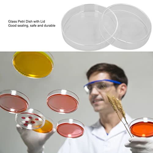 Petri set posuda za jelo, posuda za kulturu ćelija transparentna za Bioresearch eksperiment