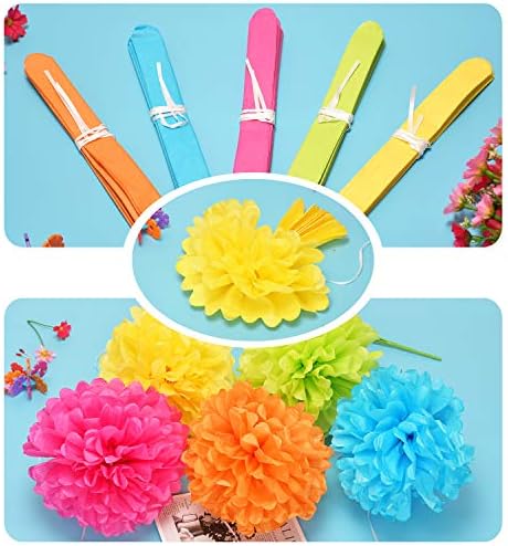 Šareni ukrasi za papir za papir, tkivni papir cvijet i zabava Pom Poms Wth Swir Swirles, premium materijal