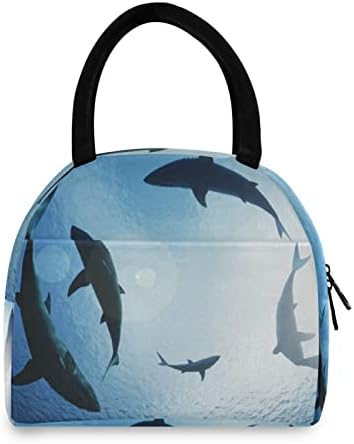 Alaza School Sharks kruži ispod okeana torba za ručak tote izolovane hladnjače torbe za višekratnu