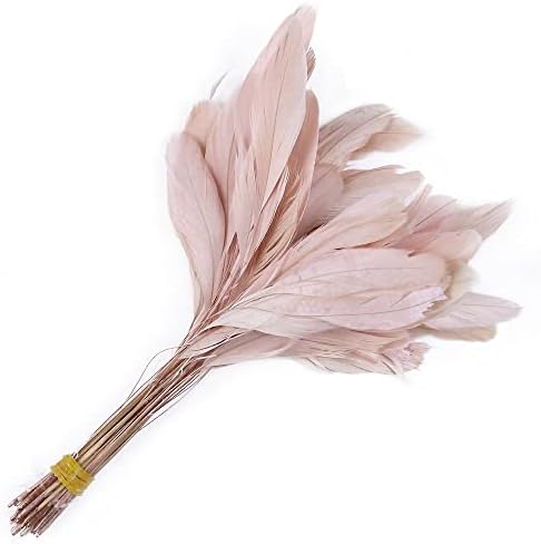 PNNERR Rooster Feathers Tail DIY nakit Izrada ružičastih pilećih perja vjenčani vijenac dodatak