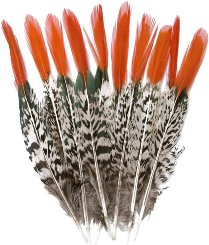 TTNDstore prirodna dama Amherst fazan perje za 5-30cm/2-12 perje nakit Making vjenčanje Karneval Plumes Plumas-16841