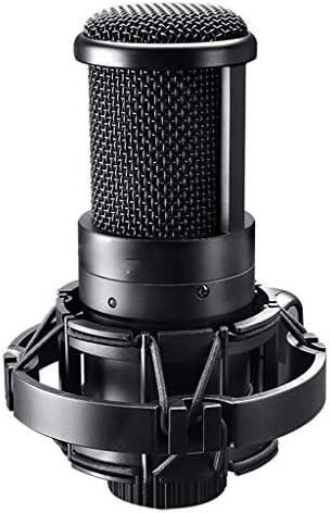 TWDYC Professional Studio kondenzatorski mikrofon sa strane adrese mikrofon računarski mikrofon