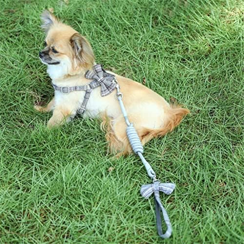 Generički mekani kabelski svežanj i povotni ovratnik podesivi lijep vrhunski najlon za male srednje pse povodac na otvorenom