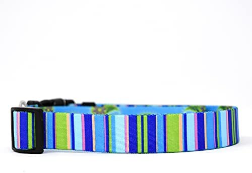 Žuta pas dizajn plave pruge Ez-Grip pas povodac sa udobnom ručkom 3/4 širok i 5' dugo, mali/srednji