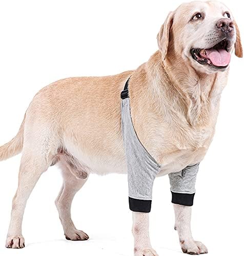 HDKUW proteze za prednje noge za oporavak rukava Protector pet koljena Brace rane za srednje velikog psa 1