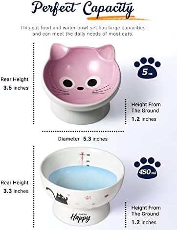Aisbugur Keramic CAT zdjelice za povišena zdjelica za hranu 15 ° nagibna zaštitna mačja kralježnica,