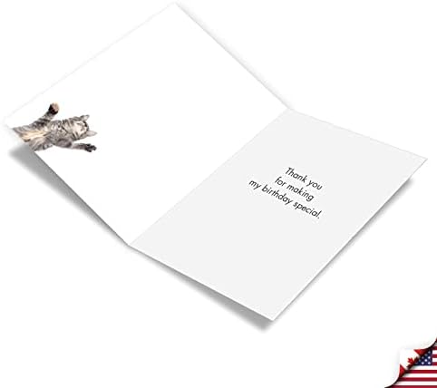 NobleWorks Rođendanska zahvalnica papirna kartica sa kovertom od 5 x 7 inča Cat veliko hvala C2368DTBG