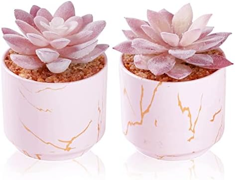 ZENIDA sočne Umjetne biljke,slatki lažni sukulenti u 2 bijele keramičke posude,male lažne biljke za uredski
