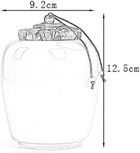 Praktični lijes Ljudski pepeo Pogrebni pepeo Pottery Urn Pet Memorijal za zapečaćeno zapečaćeno Jar
