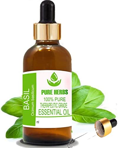 Čisto biljke Basil Pure & Prirodni terapeautski osnovni ulje 50ml
