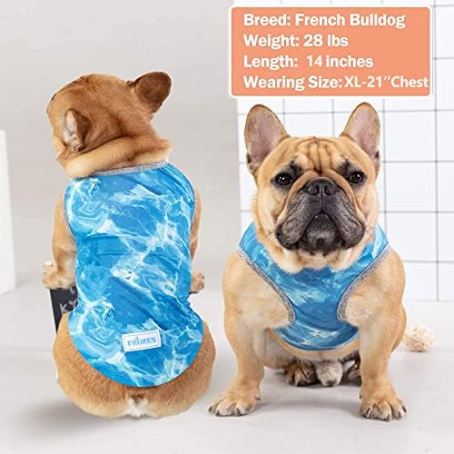 Kyeese 2 Pack Pas Hlading košulje Prozračne pse za vrijeme hlađenja PEST Lightweet za ljetnu pseću odjeću