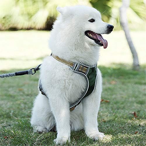 qianzhuo pas za dojke povodac uže za pse uže za pse za pse lanac za pse povodac za kućne ljubimce