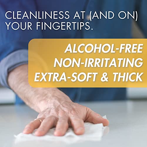 Negujte antibakterijsko tijelo i ručne maramice - antiseptički mokri saniteti bez alkohola za uklanjanje
