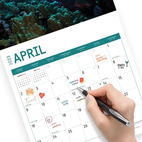 2023 Sharks Wall Calendar by Bright Day, 12x12 inča, prekrasna priroda Divlje životinje Ocean
