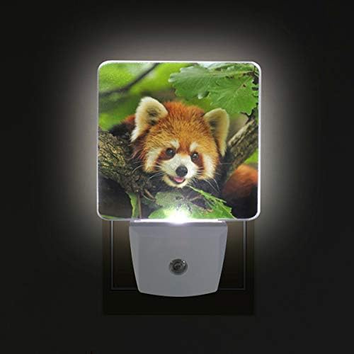 2 Pc Plug - in LED noćna svjetla sa Panda noćnim svjetlima sa senzorom od sumraka do zore bijelo svjetlo savršeno