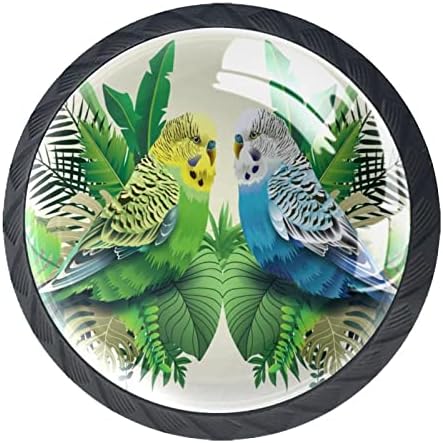 Ladica ručke zelena plava papagaj u lišće par RV ured kući kuhinja ormar ormari komoda hardver ladice stakleni