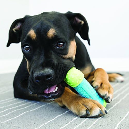 Kong CoreStrenchth Bone - čvrst, dugotrajan pas žvakaći igračke - savršeno za čišćenje zubnog zdravlja