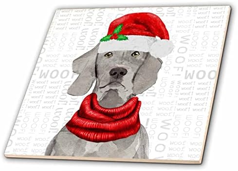3drose Weimaraner Santa pas sa Holly akcentima i zimskim božićnim šalom-pločicama