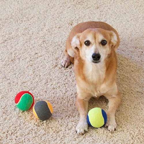 Mladgever 6 Pakirajte izdržljive pseće kuglice, psečke igračke, štene igračke za male srednje i velike pse