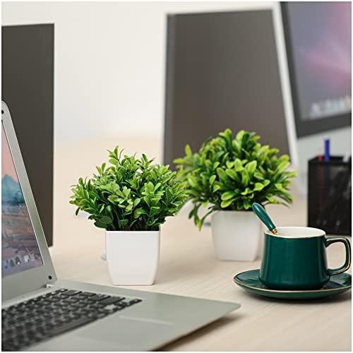 CADNLY Mini Set umjetnih biljaka-Umjetne biljke u zatvorenom prostoru male lažne biljke za kancelarijski