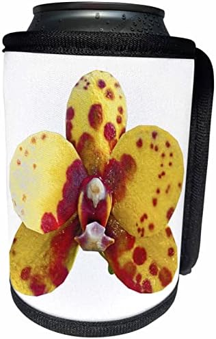 3Droza Boehm grafički cvijet - žuti i crveni orhidejni - može li hladnije boce